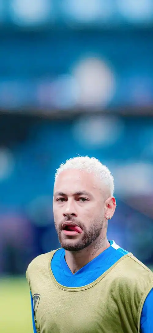 的场地指挥 的场地指挥